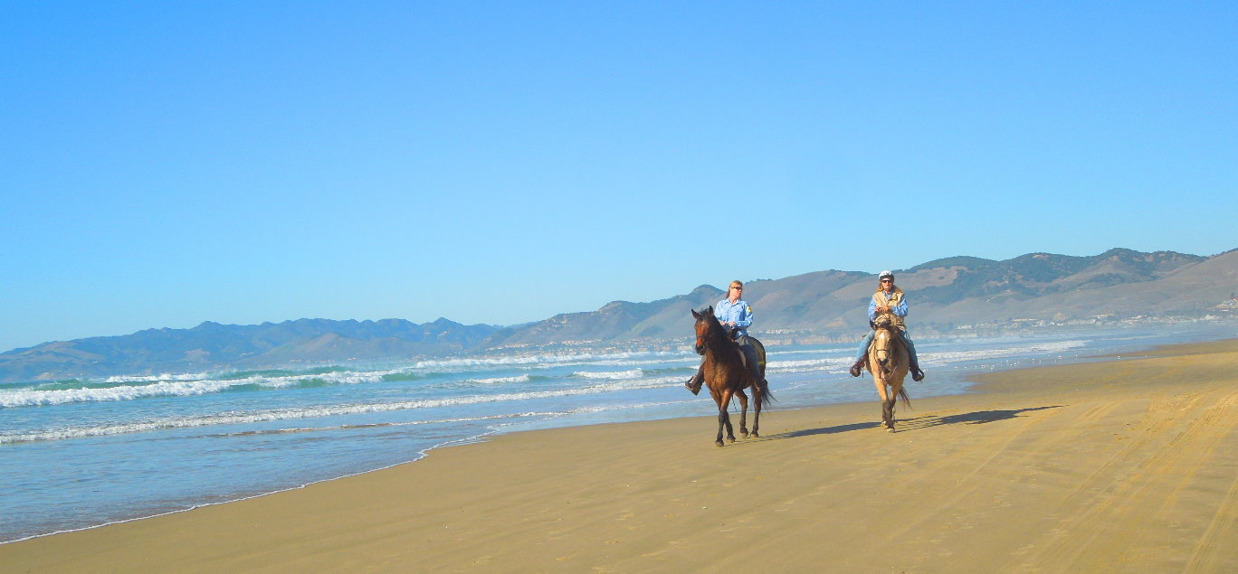 Horseback Riding Beach Vacations  Things to Do in SF